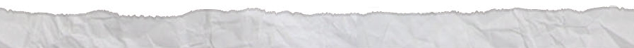 Bottom Border